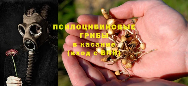 стаф Абдулино
