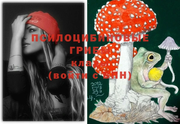 2c-b Абинск